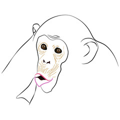 Illustration of a face. Monkey is surprised looking at a man