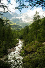 rivewr in mountain in Piemonte Italy