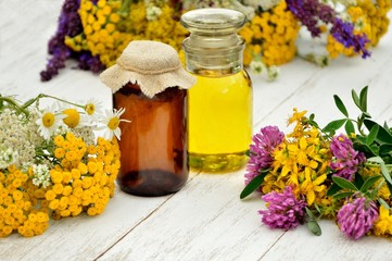 Сolorful herbs on a white background with bottles of oil and tinctures