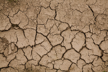 Close-up photograph of cracked earth underfoot. Natural Wallpaper, Texture, Pattern, Background.