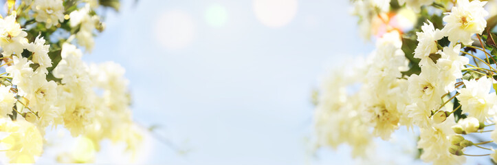 Spring border, season background