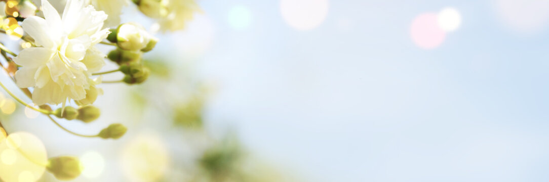 Spring border, season background