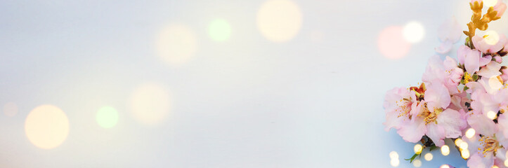 Spring background with blossom