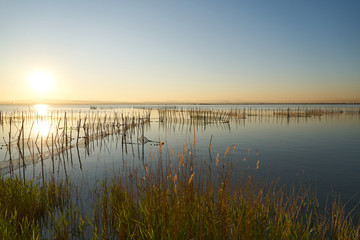 Fototapeta premium the sunset with fishing nets on a lake
