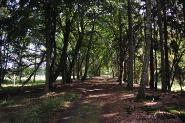 Martensches Bruch zwischen Hintersee und Glash&uuml;tte