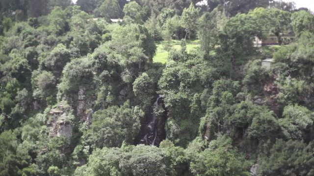 Thomson&rsquo;s Falls waterfalls vegetation, Kenya, Africa, close up, pan right