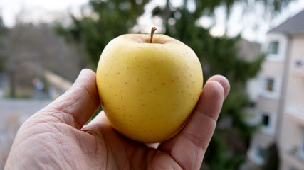 apple in hand