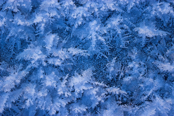 Fototapeta premium Beautiful ice background