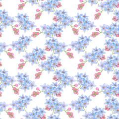 Seamless texture of blue forget-me-nots on a white background.