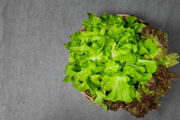 Green oak and red oak in basket on concrete table.