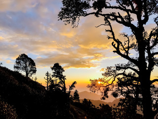 sunset in forest and mountain Uttarakhand 