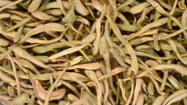 top view herb medicine JinYinHua or Lonicerae Japonicae Flos or Japanese Honysuckle Flower Bud rotate and pause