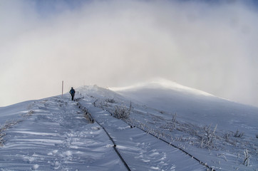Fototapeta zima na połoninie Wetlińskiej Bieszczady  obraz