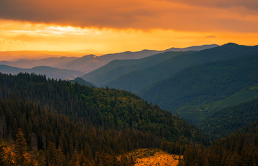 Fototapeta na wymiar panoramic summer sunrise mountains image, splendid nature view meadow on slope with trees at morning dawn sunshine, stunning Carpathian background, Ukraine, Marmarosy, Europe
