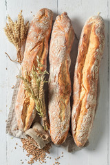 Crunchy french baguettes freshly baked in bakery - obrazy, fototapety, plakaty
