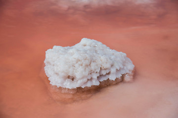 Pink salt lake in Torrevieja