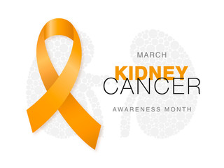 March - Kidney Cancer Awareness Month. Orange color awareness ribbon and kidney icon on white background. Vector design template. Concept healthcare banner. - 327127525