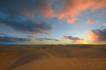 Fototapeta na wymiar After Sunset in the desert, Beautiful blue sky and fluffy pink blue clouds. Fine, golden sand of the dunes of the desert in Maspalomas, Gran Canaria at Canary islands, Spain
