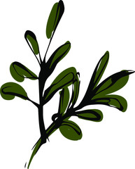 flower leaf, green leaf, vector graphic, garden plant. 