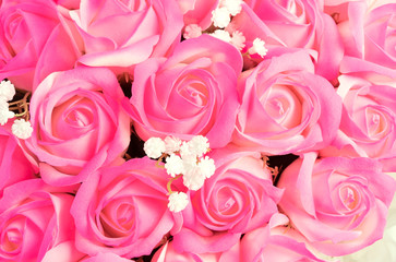Soft rose color background top view