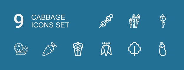 Editable 9 cabbage icons for web and mobile