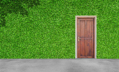 Interior and Exterior Design Concept : Wooden door on green artificial grass wall with concrete floor.