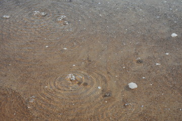 bubble coming out from the sand from crab holes
