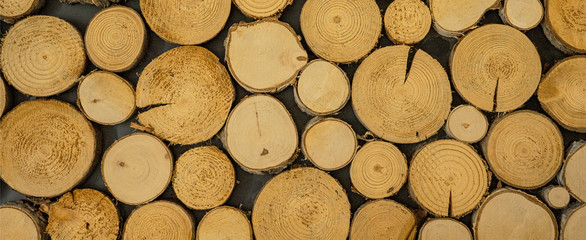 Stack of wooden stumps in cross section texture background banner panorama
