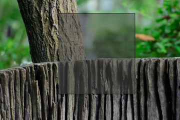  Tree stump That is old but beautiful and There is a text field.