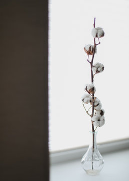 Cotton branch in a vase. Cotton flower and pusy willows close up.  Minimalistic home decor