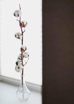 Cotton branch in a vase. Cotton flower and pusy willows close up.  Minimalistic home decor