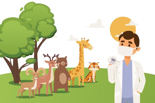 Veterinarian inspects animals deer, giraffe, ram, bear, tiger. Vet doctor in mask and lab coat with thermometer. Veterinary examination. Wild animal treatment. Flat vector illustration.