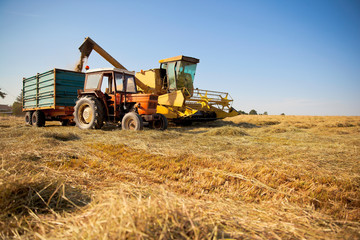 Vieux tracteur et moissoneuse dans un champ de blé.