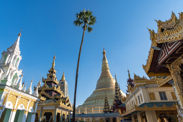 Fototapeta premium Shwedagon Paya Zedi