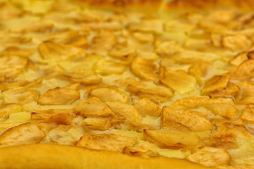 Food photo of tasty and healthy food