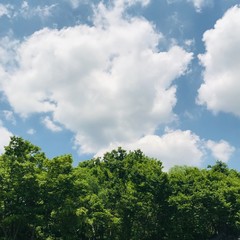 blue green summer day at park