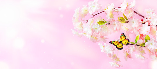 Blooming tree with pink blossom and sun flare background. Springtime.