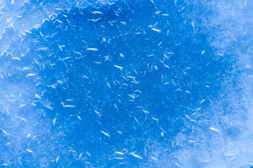 blue texture of an snow surface with pure ice white wave , blue cold clear cryslallized wall background ,decorative plaster background close up , abstract macro wallpaper