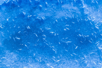 blue texture of an snow surface with pure ice white wave , blue cold clear cryslallized wall background ,decorative plaster background close up , abstract macro wallpaper