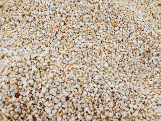 job's tear background photo reflects about healthy food and natural grain