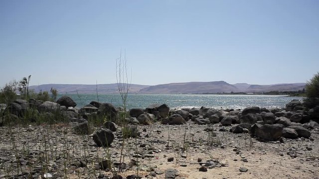 Rocky shore of the Sea of Galilee on a hot summer day, Israel