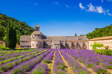 Provence, France. Provence, France. Lavender fields at Senanque monastery.