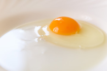 Fresh egg crushed on a white plate