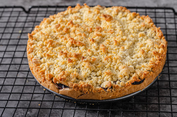 Rustic pie with forest fruit