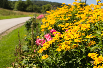 Countryside