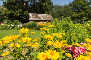 Obraz premium Countryside