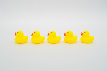 Five mini yellow rubber ducks in a row. Isolated on white backgr