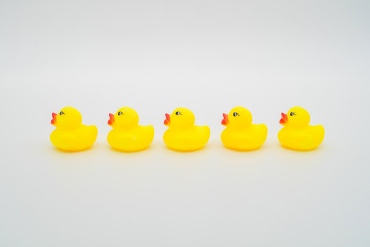 Five mini yellow rubber ducks in a row. Isolated on white backgr