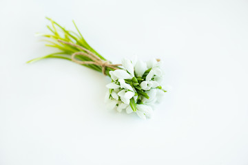 Fototapeta premium Three snowdrop flowers tied up with a rope isolated on white background