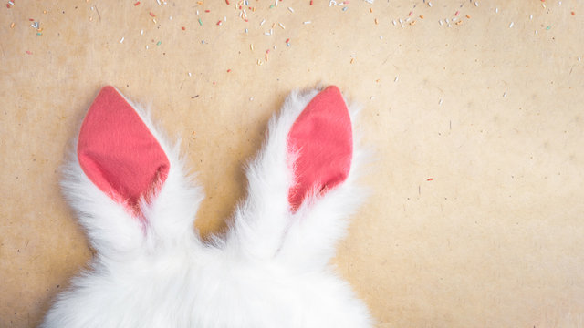 Plushy Toy Bunny Rabbit Ears. Happy Easter